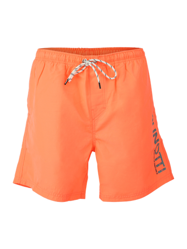 BRUNOTTI HESTER MENS SHORTS (copia)